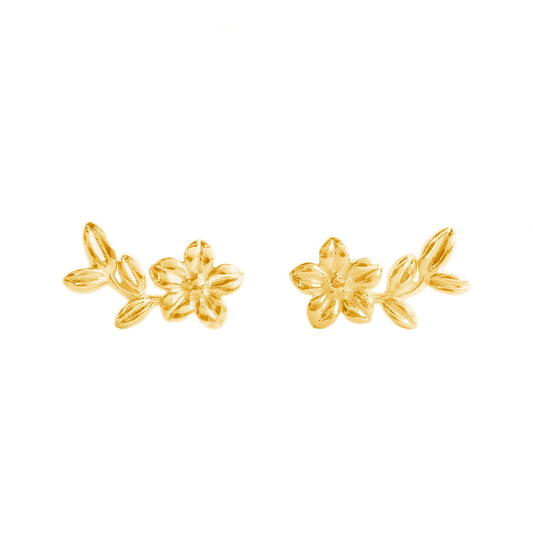 Studs 925 Silver Women Mensaje Amor Flower Leaves Gold